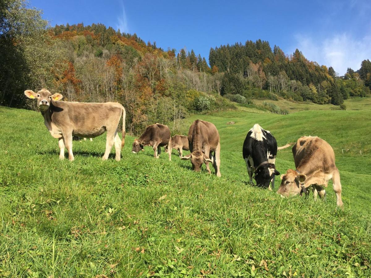Schmiedlarhof Leilighet Au (Vorarlberg) Eksteriør bilde